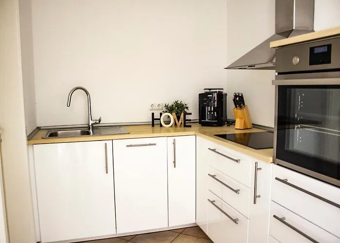 Alte Burg 公寓 科布倫茨